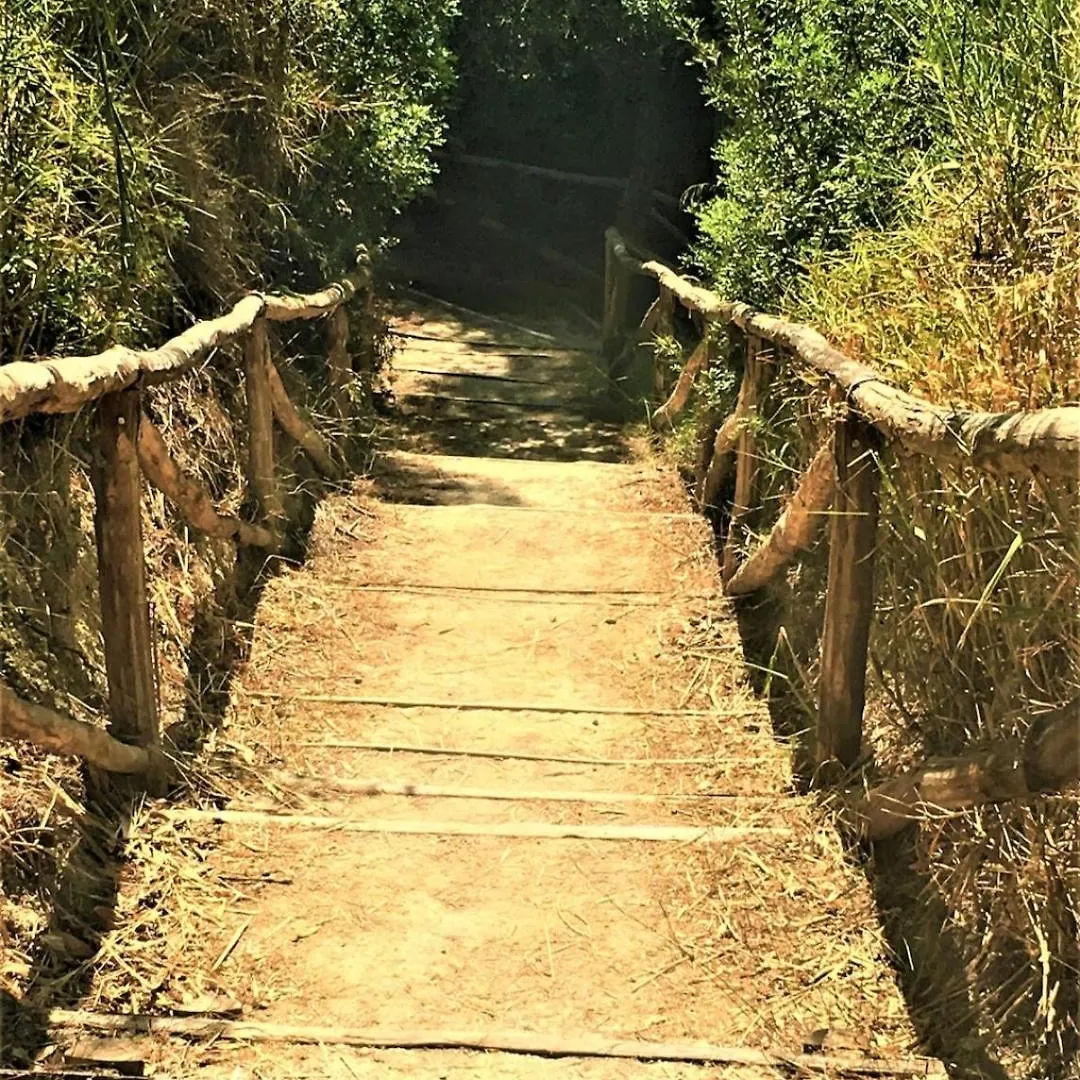 Vila Eleor Siviri